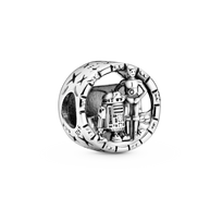 C3P0 & R2D2 Charm