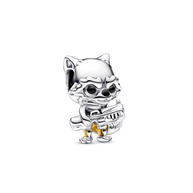 Rocket Raccoon Charm