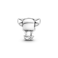 Simba Charm