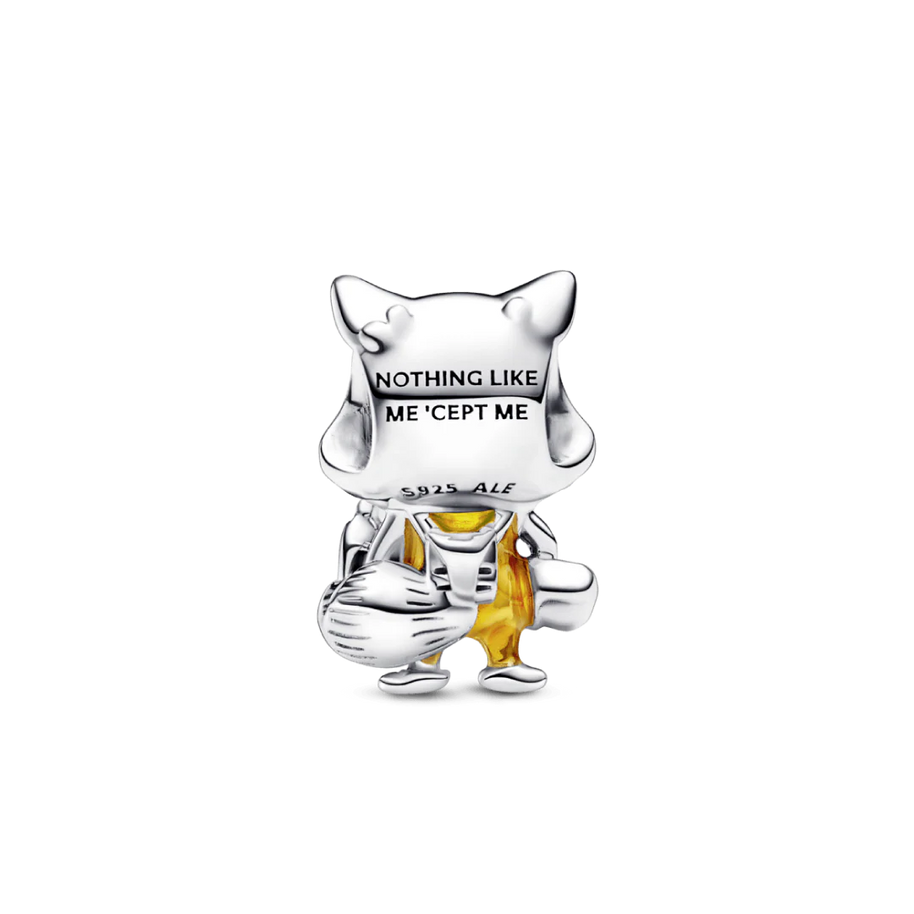 Rocket Raccoon Charm