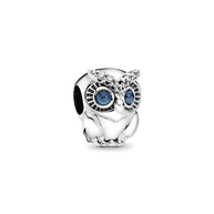 Owl Charm