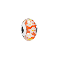 Hawaii Spacer