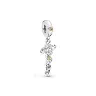 Jessie Charm