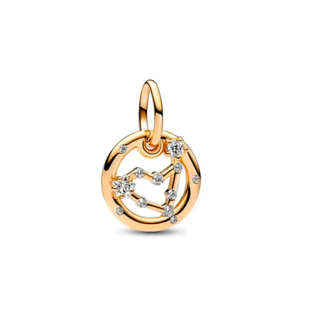 Capricorn Constellation Charm