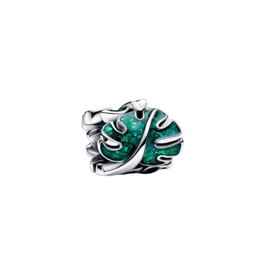 Monstera Charm