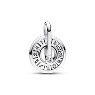 Zodiac Astrology Charm