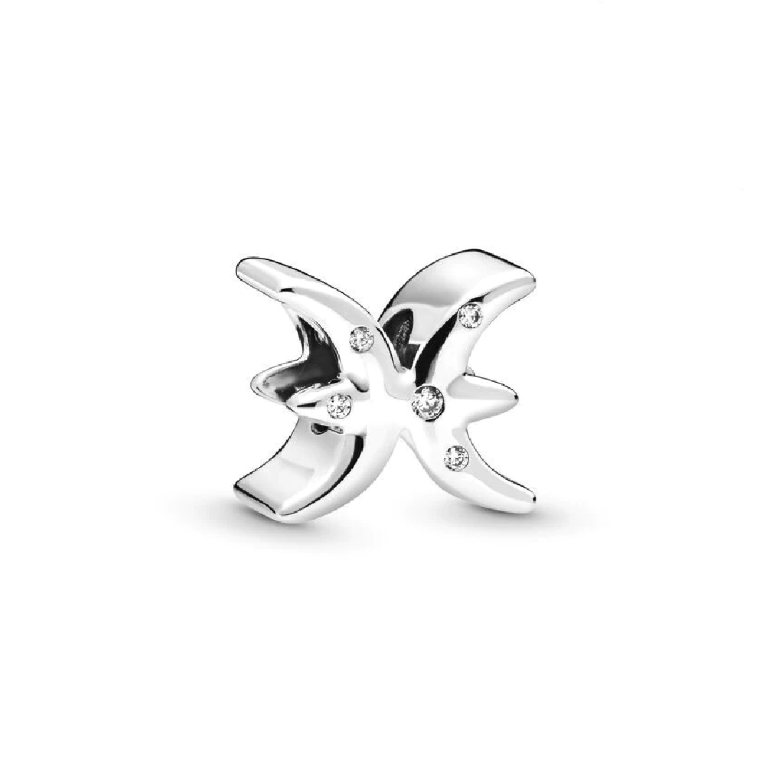 Pisces Charm