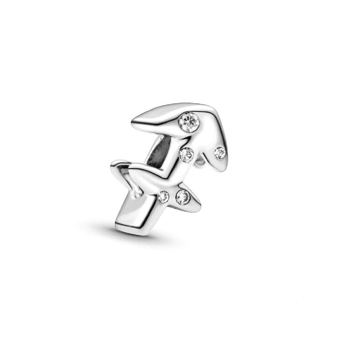 Sagittarius Charm