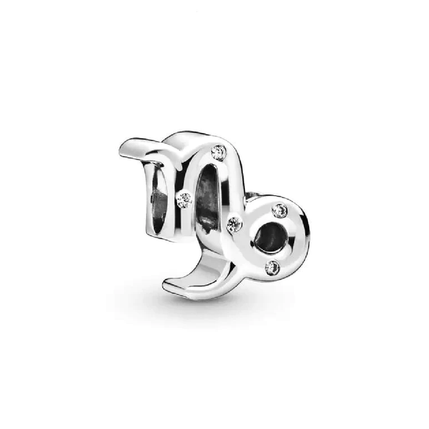Capricorn Charm
