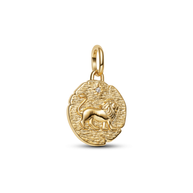 Lion Talisman Charm