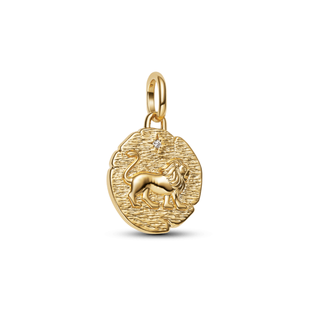 Lion Talisman Charm